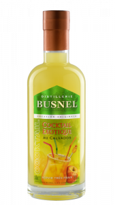 Exotic Cocktail with BUSNEL Calvados